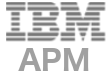 IBM APM Logo