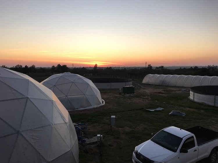 A picture of domes and tunnels on the farm at sunset.