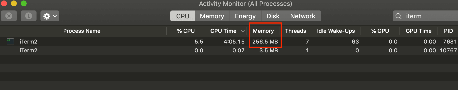 Activity monitor screenshot with memory of 256.5 MB highlighted in a red box
