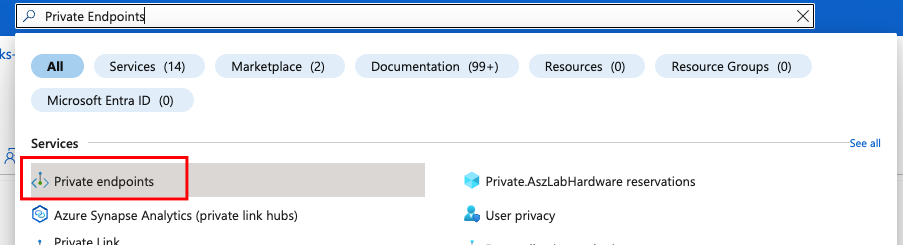 Select Private Endpoint &gt; Endpoints