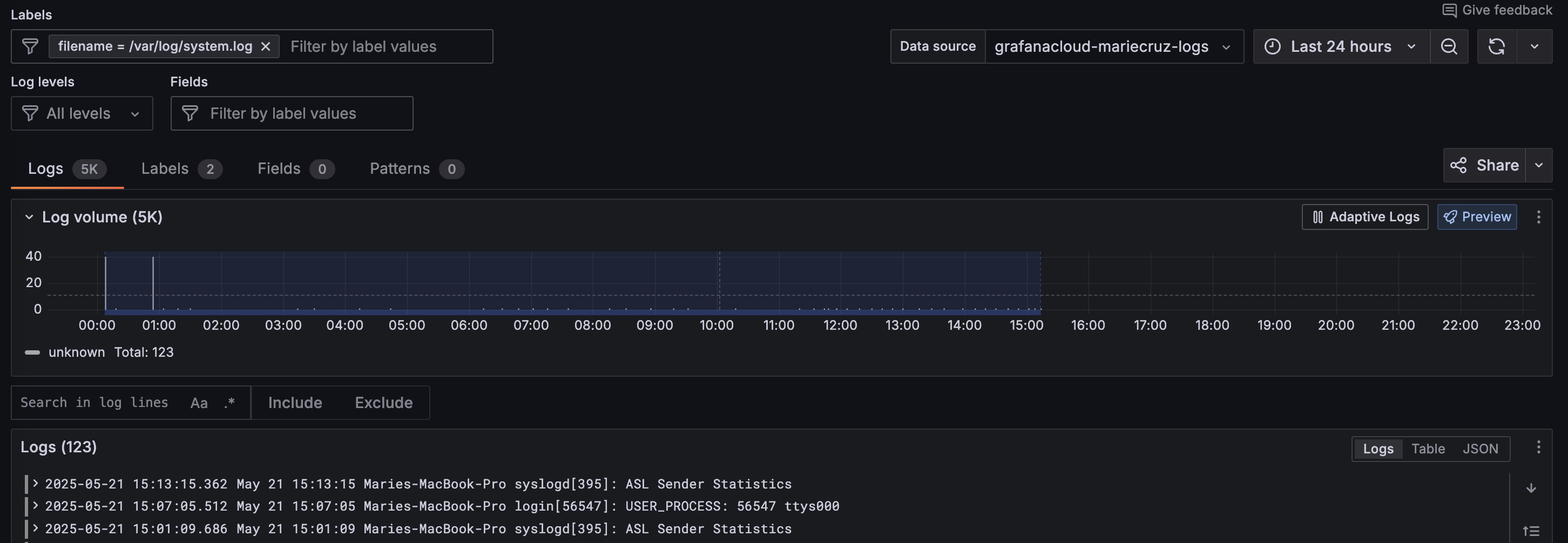 Example logs collected by Alloy and forwarded to Loki