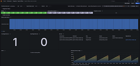Apache HBase cluster overview (status)