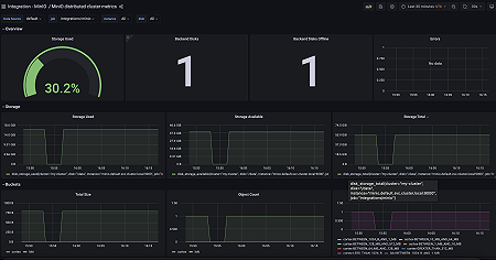 MinIO distributed metrics overview