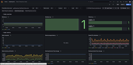 Redis Enterprise node overview (1/2)