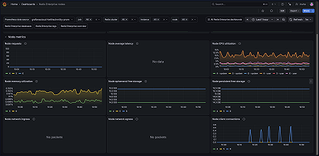 Redis Enterprise node overview (2/2)