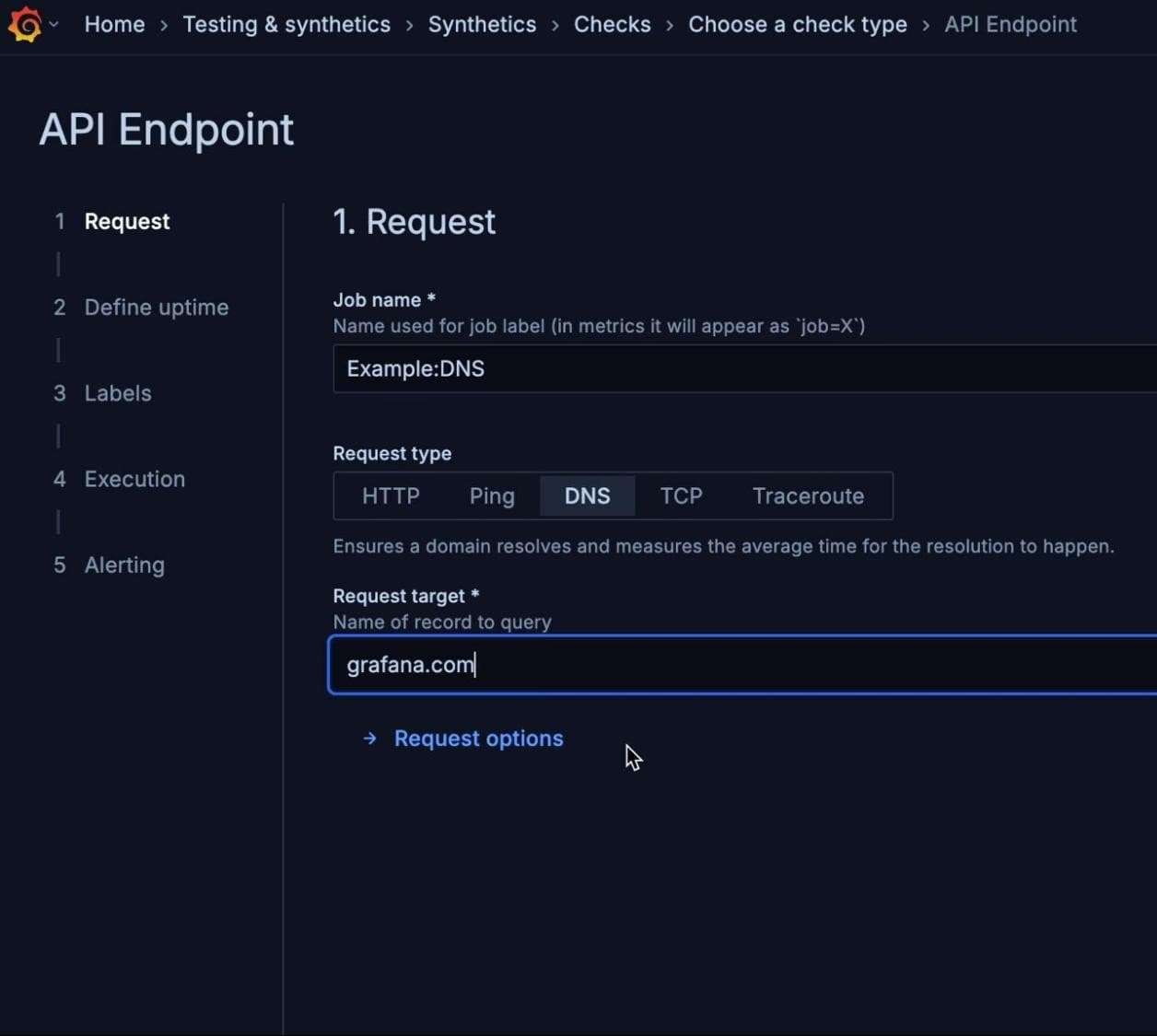 Screenshot of an API Endpoint interface showing a DNS request setup with "grafana.com" as the request target.