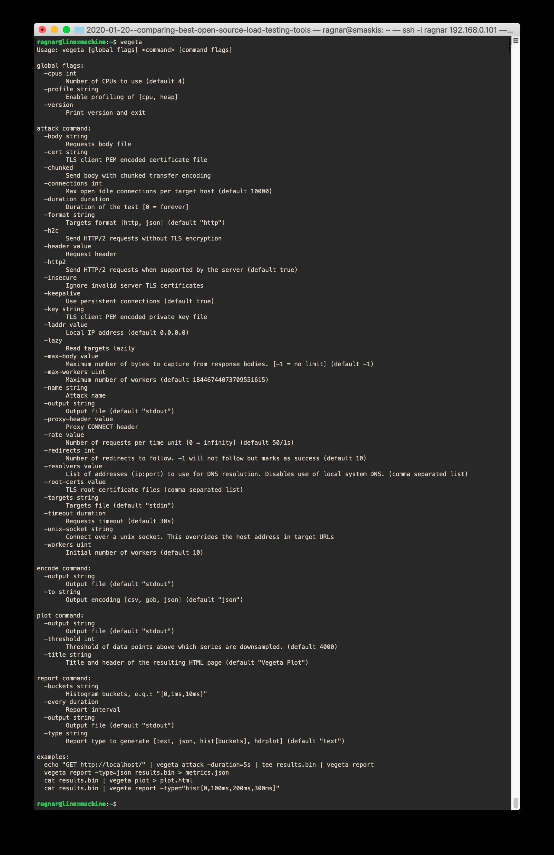 A screenshot of the Vegeta help output