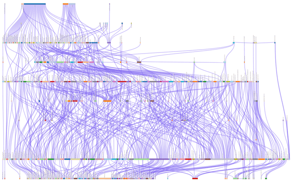 A diagram with hundreds of purple lines connecting to boxes of different colors