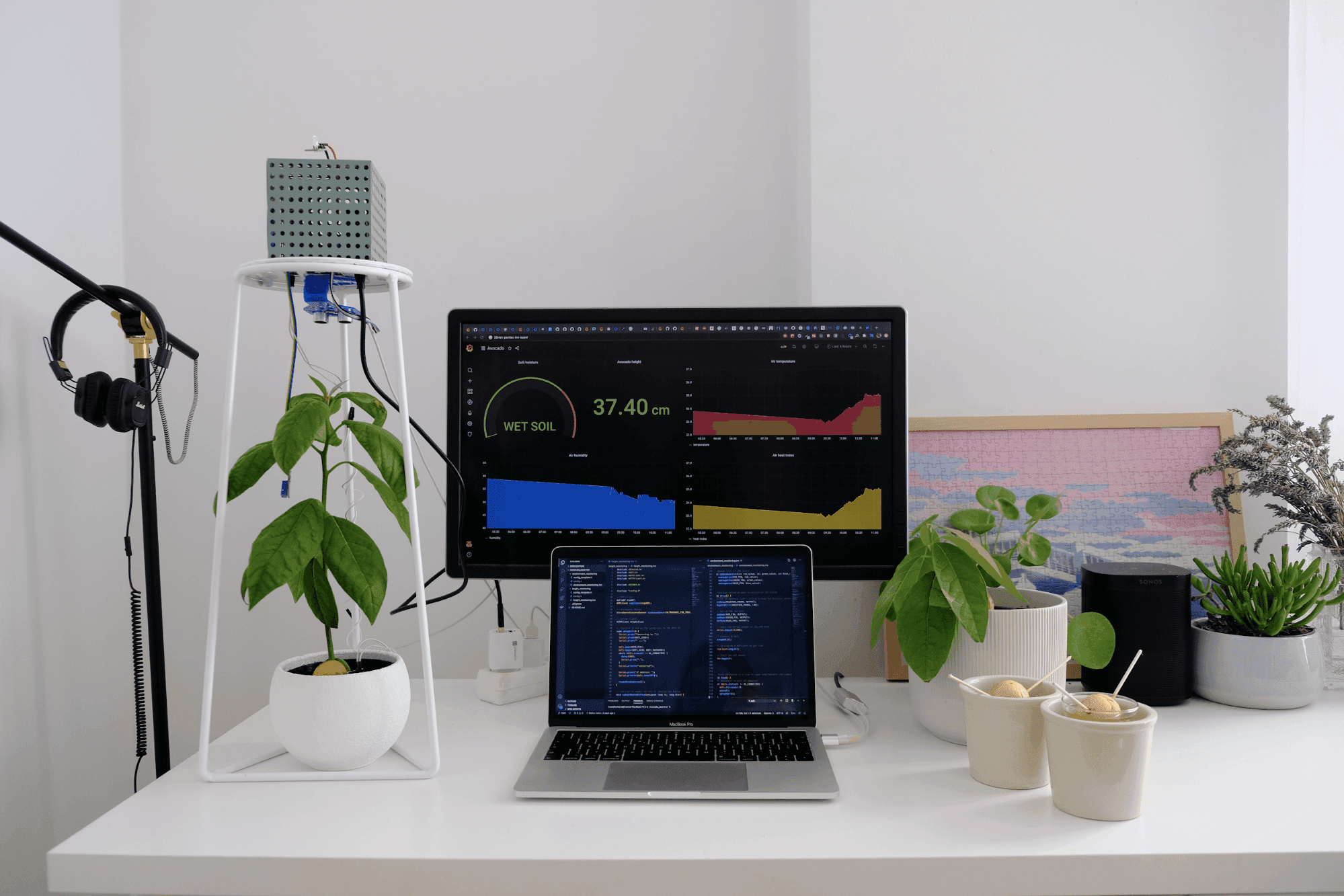 How I built a monitoring system for my avocado plant with Arduino and Grafana Cloud