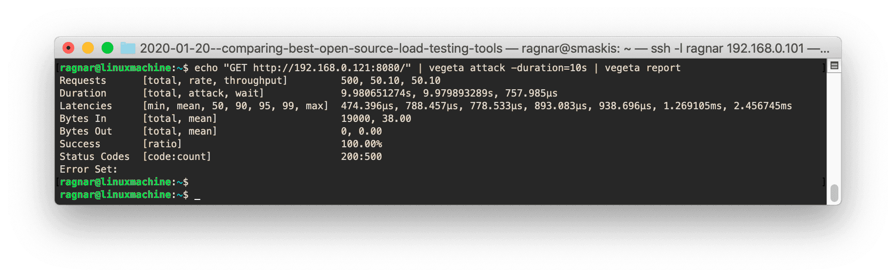 A screenshot of a Vegeta runtime