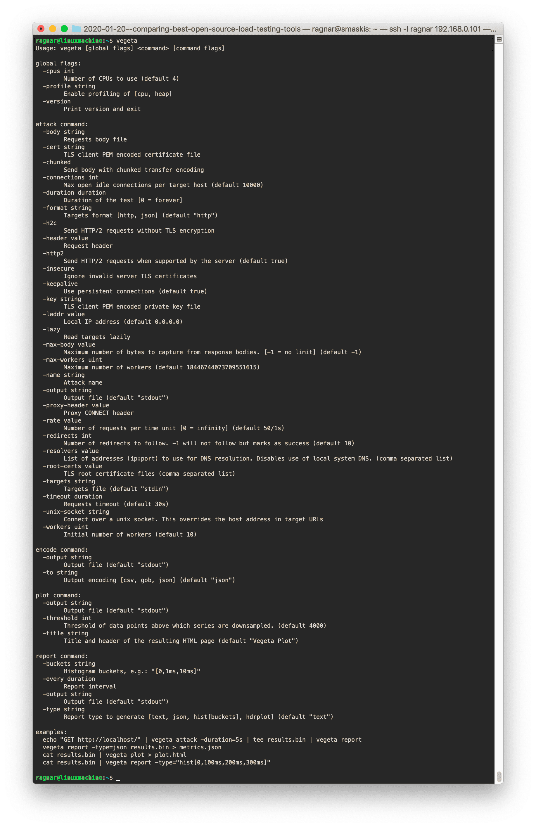 A screenshot of the Vegeta help output