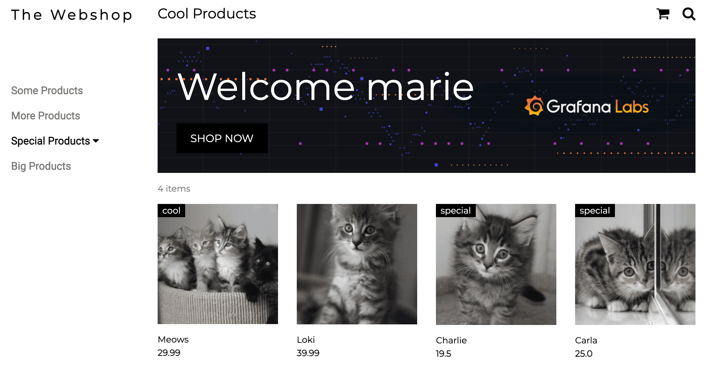 A screenshot of the Webshop application, containing various cute kittens as special products.