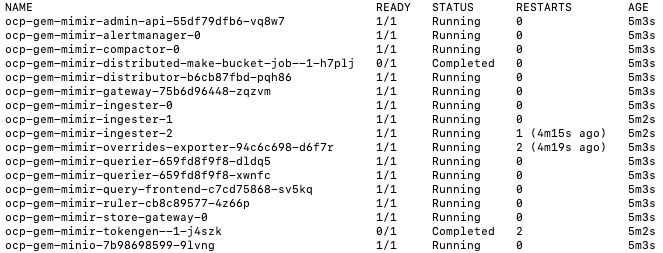 The running GEM pods and completed token job pod in Red Hat OpenShift.